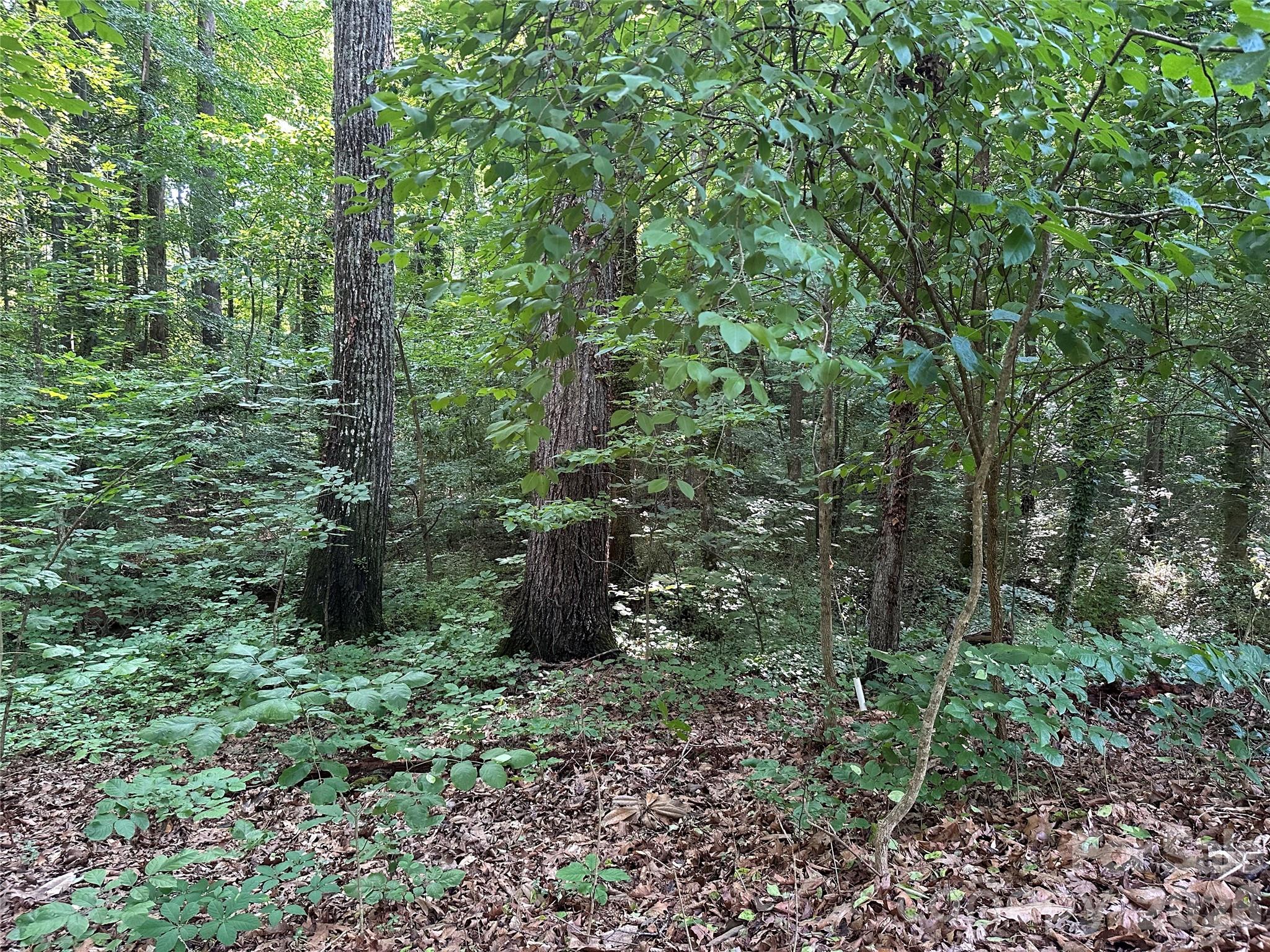 0 Briarcliff Road Rockwell, NC 28138 - Photo 16 of 25