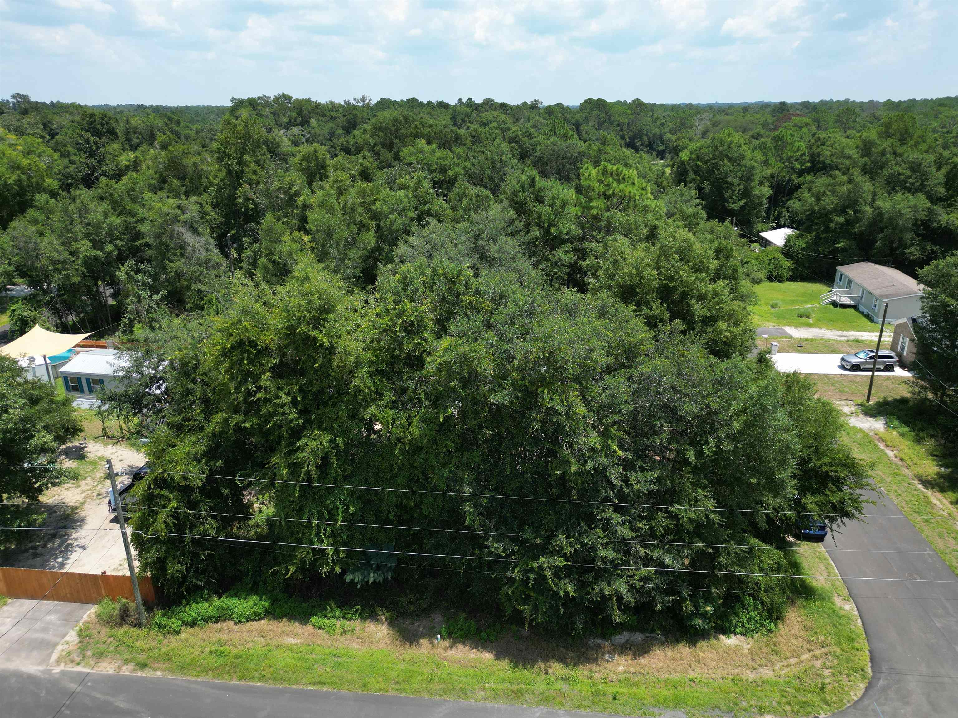 Concord Road Crawfordville, FL 32327 - Photo 5 of 6 Gallery Image 5