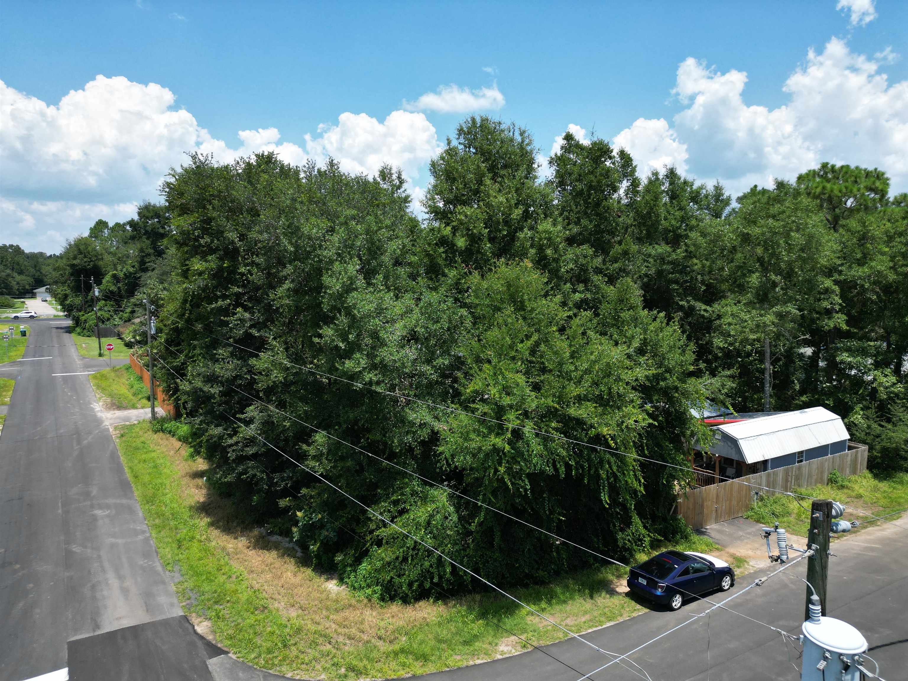 Concord Road Crawfordville, FL 32327 - Photo 6 of 6 Gallery Image 6