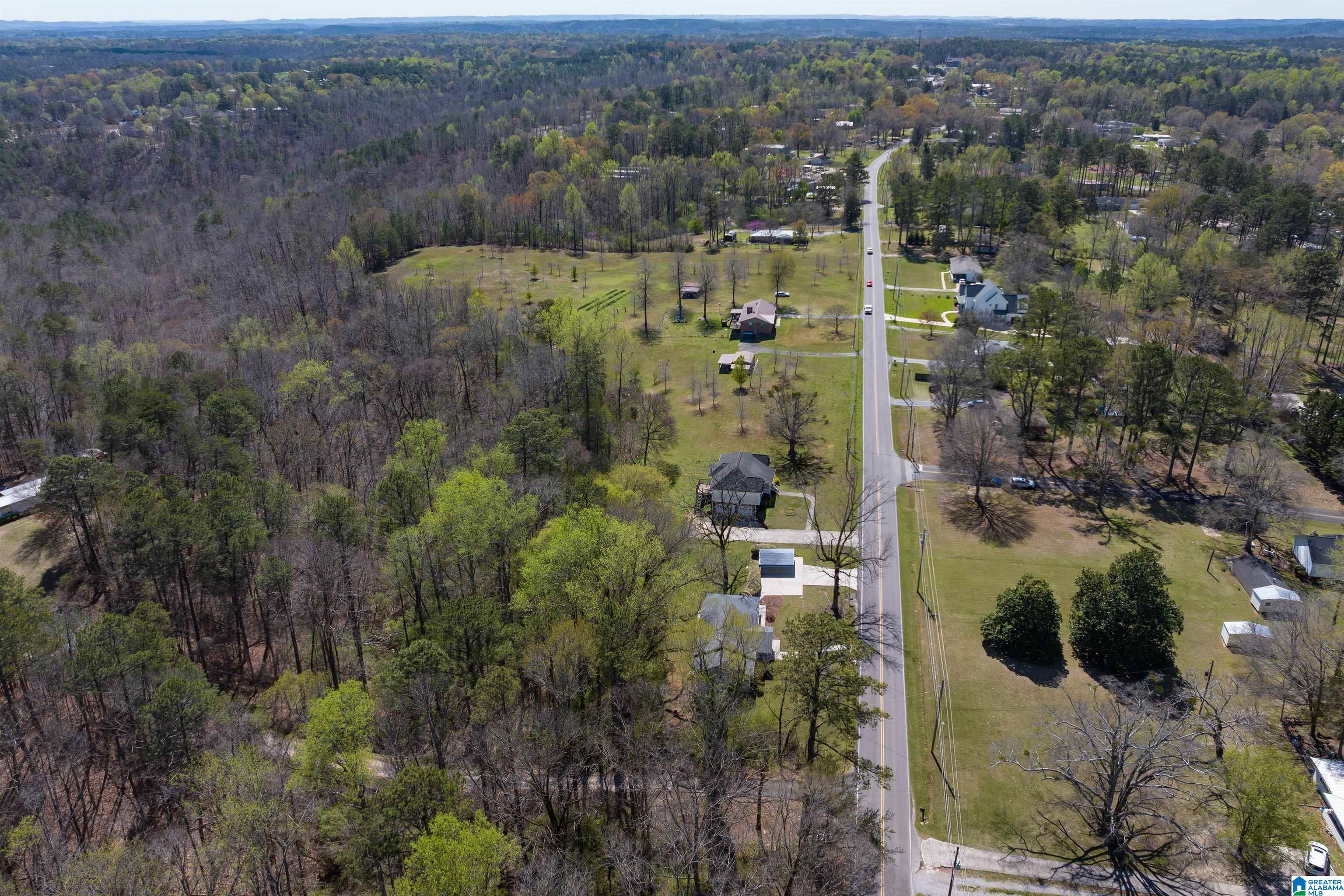 3645 Mt Olive Road Mount Olive, AL 35117 - Photo 29 of 42