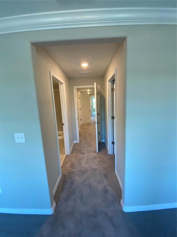 11736 Dumaine Valley Road Riverview, FL 33579 - Photo 21 of 23