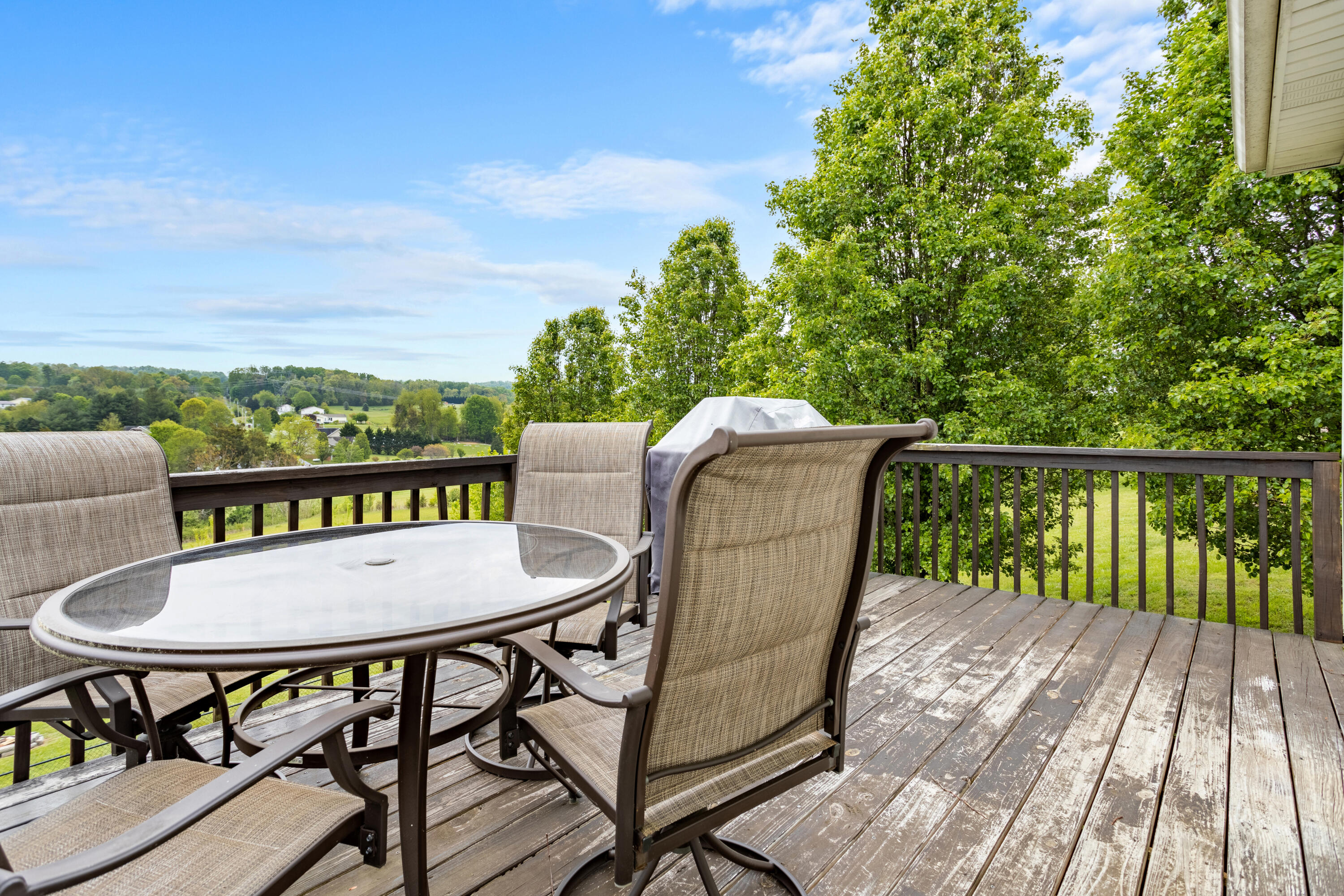 1018 Painter Road Jonesborough, TN 37659 - Photo 16 of 44 177A5226-HDR