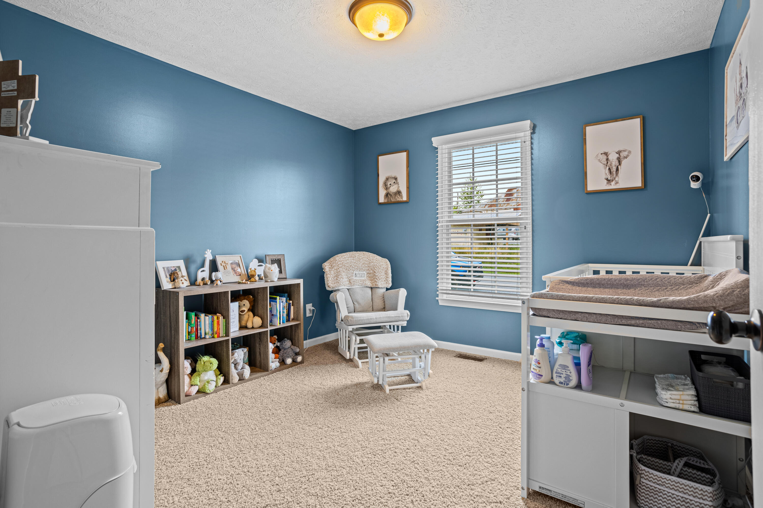 1018 Painter Road Jonesborough, TN 37659 - Photo 23 of 44 177A5138-HDR(1)