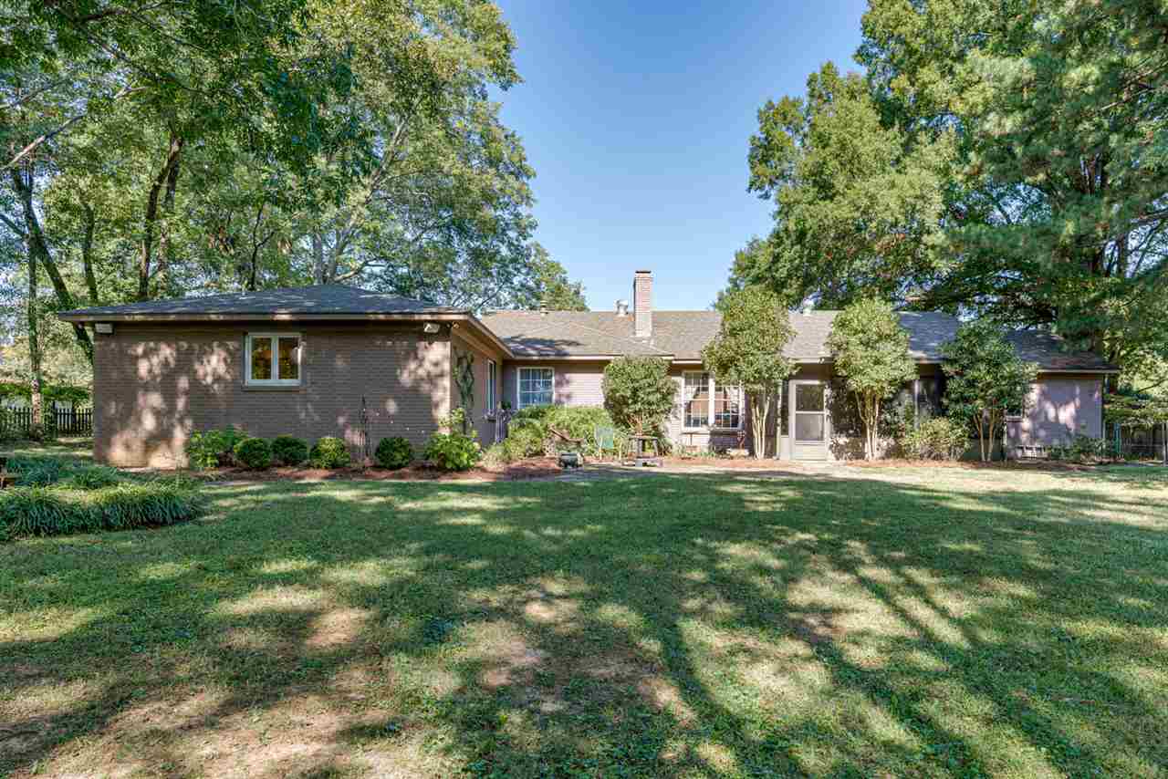 501 Fletcher Road Collierville, TN 38017 - Photo 25 of 25 Backyard