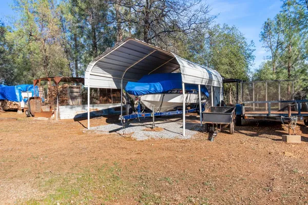a view of yard along with trees and covered with fog