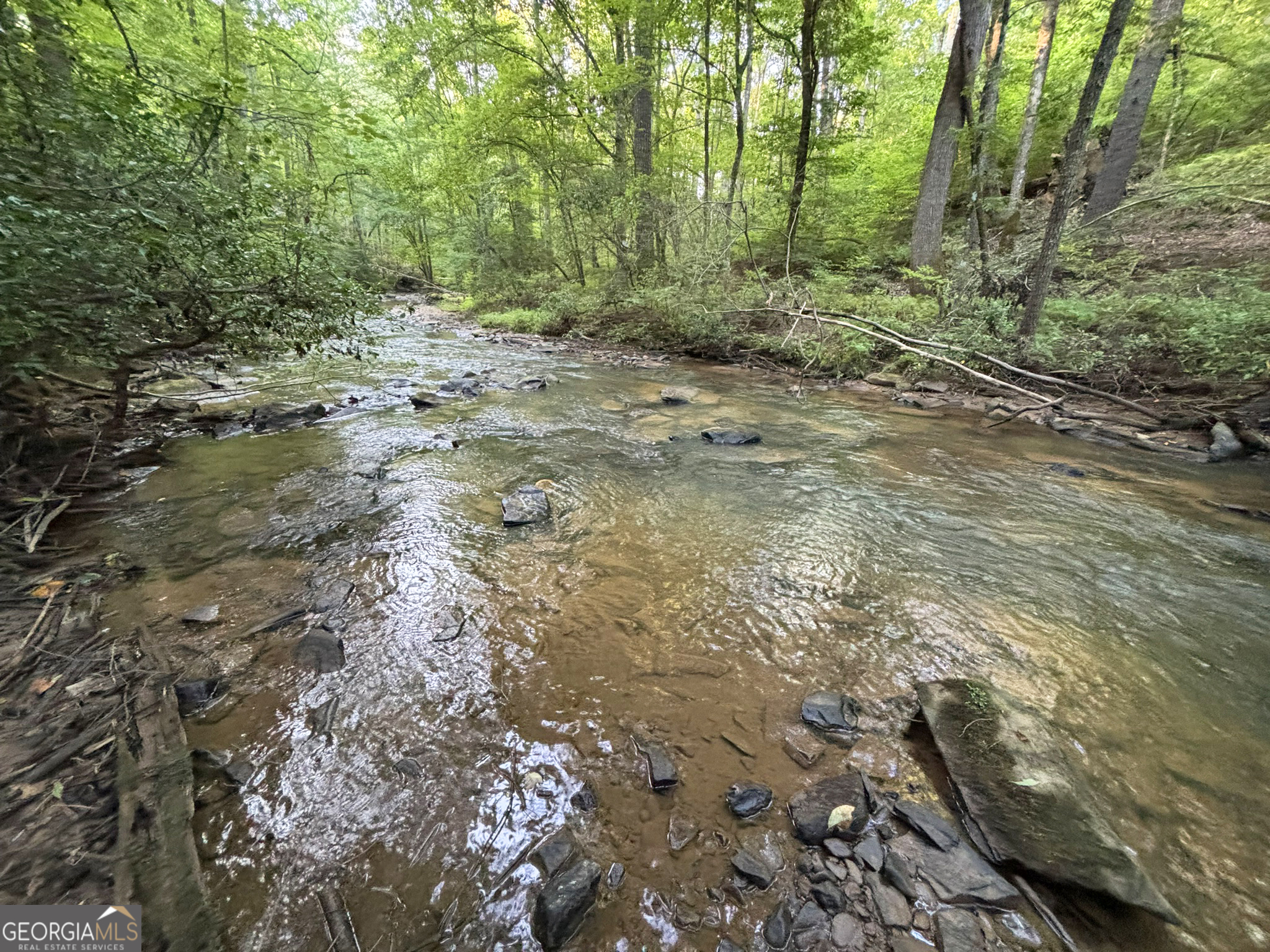 Lot 18 Mt Springer Road Ellijay, GA 30540 - Photo 31 of 31