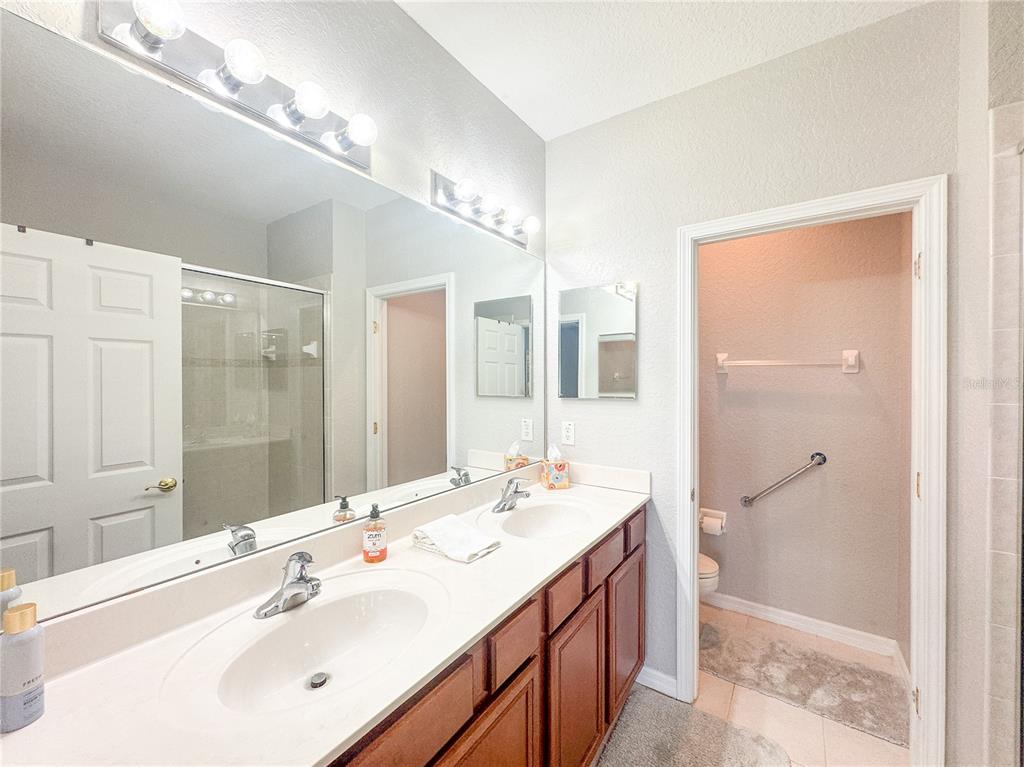 27010 Cool Stream Lane Wesley Chapel, FL 33544 - Photo 11 of 24