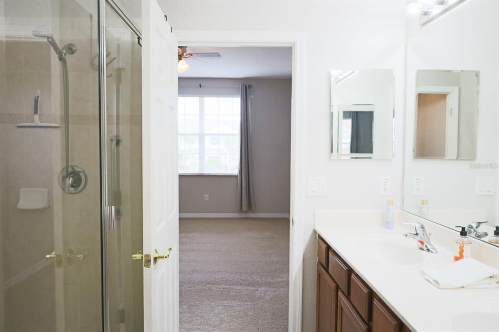 27010 Cool Stream Lane Wesley Chapel, FL 33544 - Photo 12 of 24