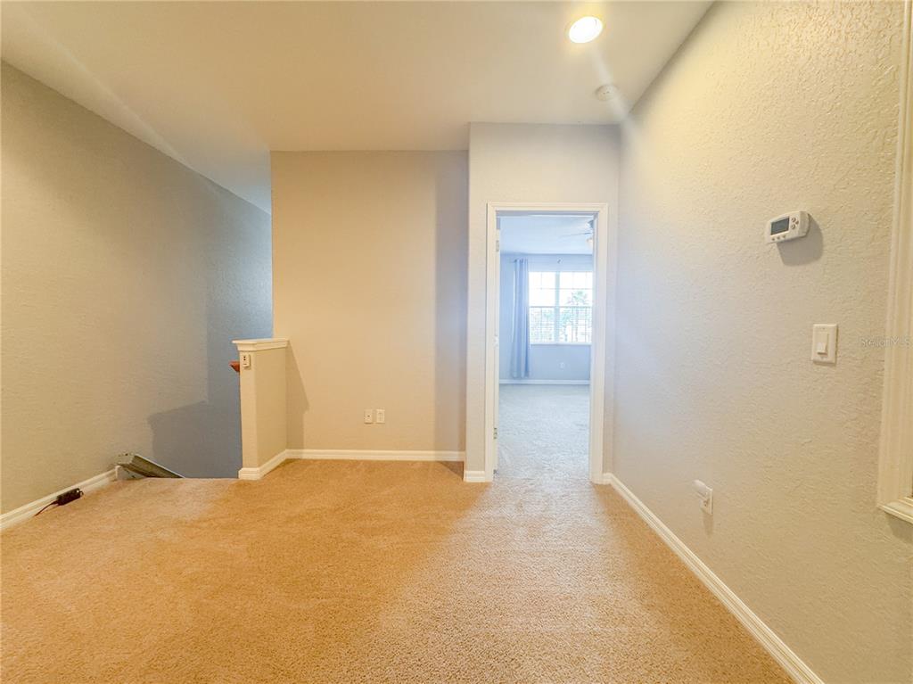 27010 Cool Stream Lane Wesley Chapel, FL 33544 - Photo 13 of 24