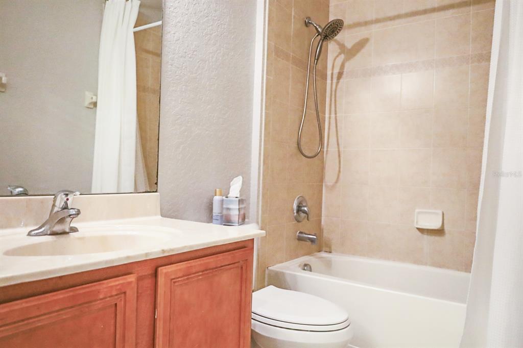 27010 Cool Stream Lane Wesley Chapel, FL 33544 - Photo 16 of 24