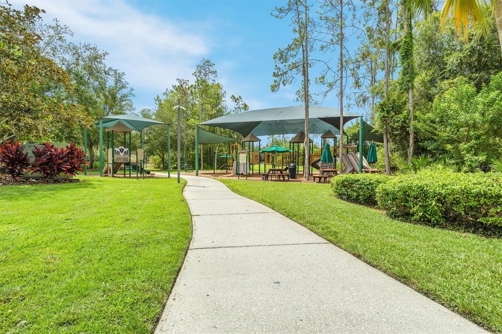 27010 Cool Stream Lane Wesley Chapel, FL 33544 - Photo 19 of 24