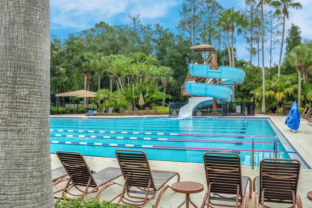 27010 Cool Stream Lane Wesley Chapel, FL 33544 - Photo 20 of 24