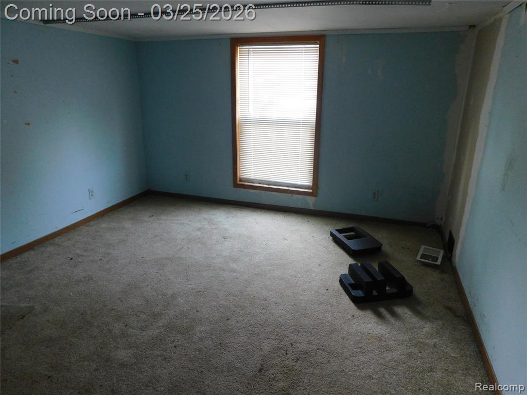 5284 Scotch Settlement Road Almont, MI 48003 - Photo 24 of 43