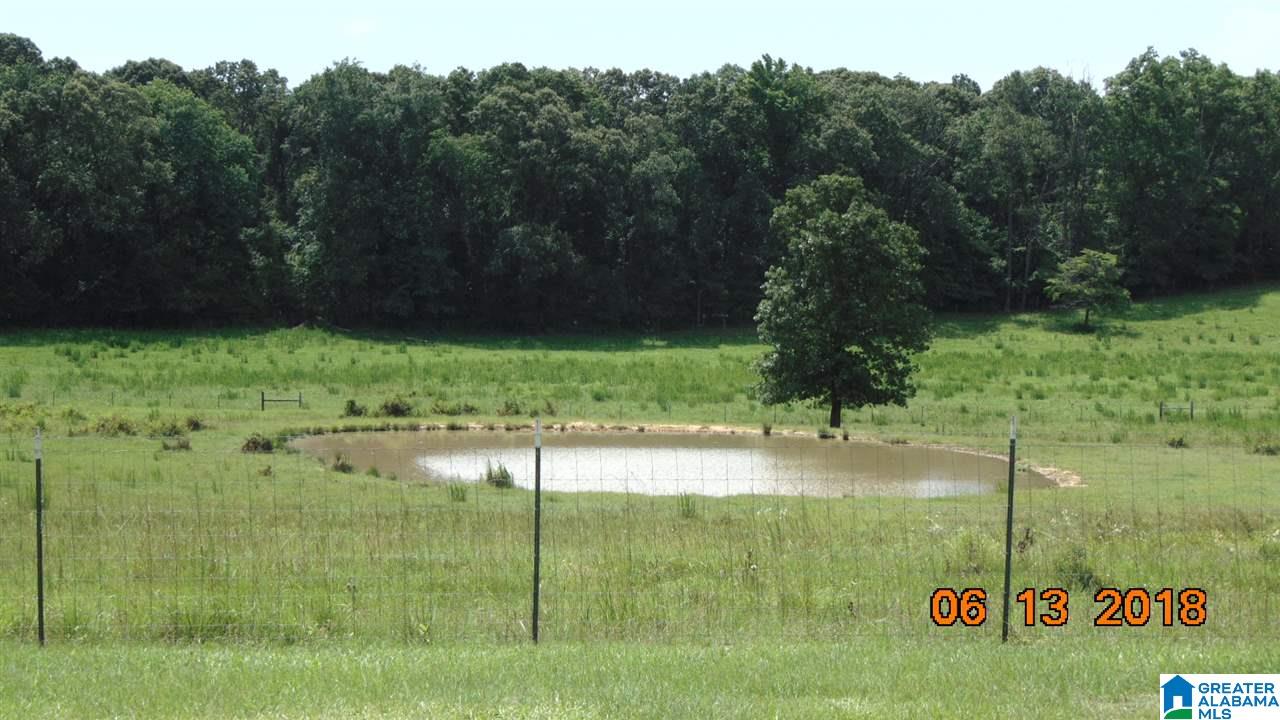 0 West Ashby Road Brierfield, AL 35035 - Photo 2 of 22
