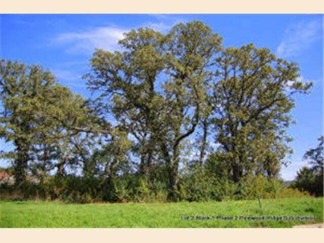 Xxxx Pinewood Ridge Drive Southeast Rochester, MN 55904 - Photo 1 of 8