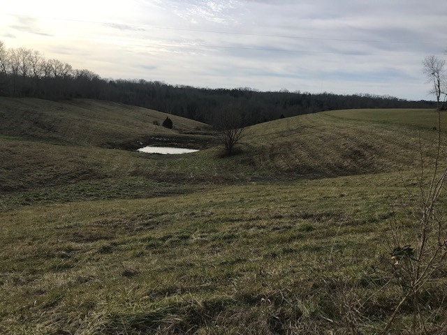 1350 Osborne Road Dry Ridge, KY 41035 - Photo 2 of 12