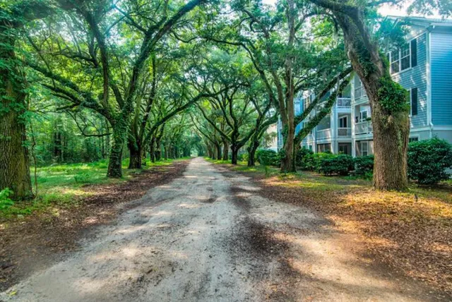 $2,000 | 60 Fenwick Hall Alley, Johns Island, SC 29455