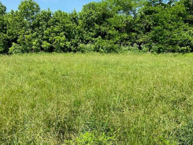 113 Lee's Creek Road Dover, KY 41034 - Photo 13 of 30 6