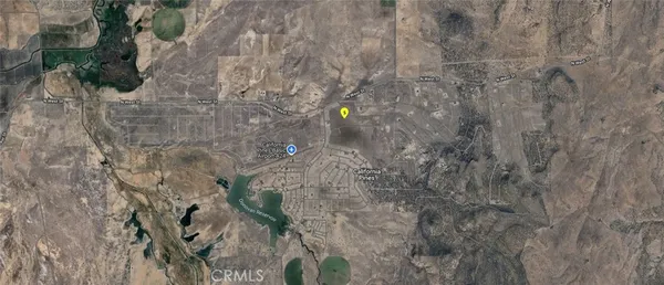 a close up of a plant in a garden