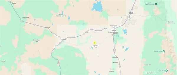 a close up of a plant