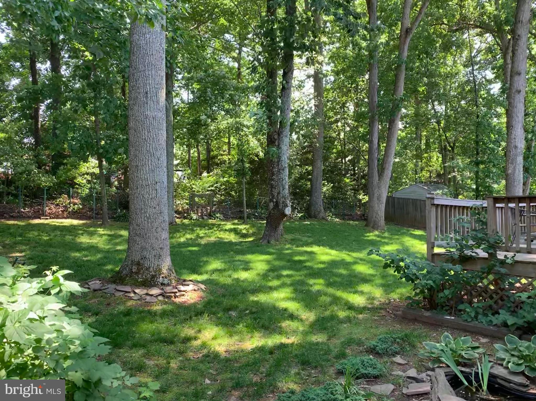 260 Choptank Road Stafford, VA 22556 - Photo 32 of 35