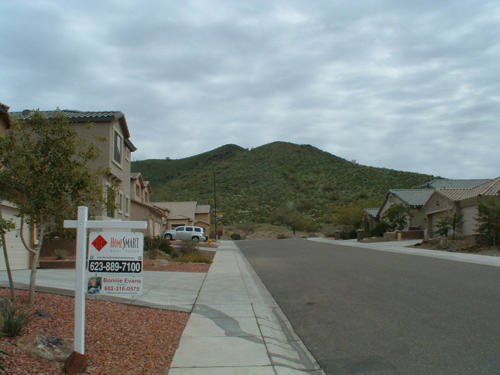 2004 West Caleb Road Phoenix, AZ 85085 - Photo 20 of 20 View up the street