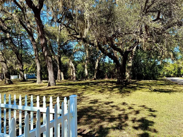 a view of a yard with trees