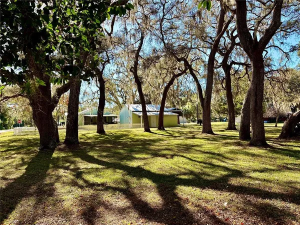 a view of a yard with trees