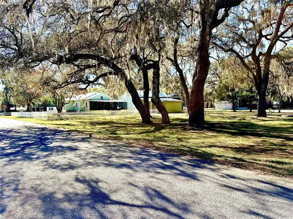 a view of a yard with large trees