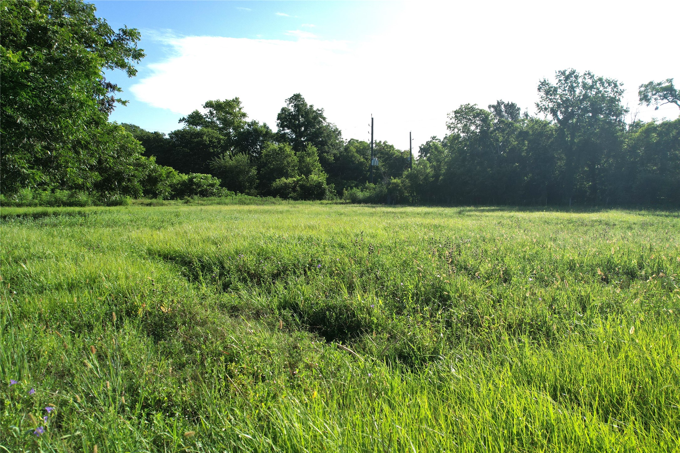 36600 Cheyenne Road Simonton, TX 77485 - Photo 18 of 21