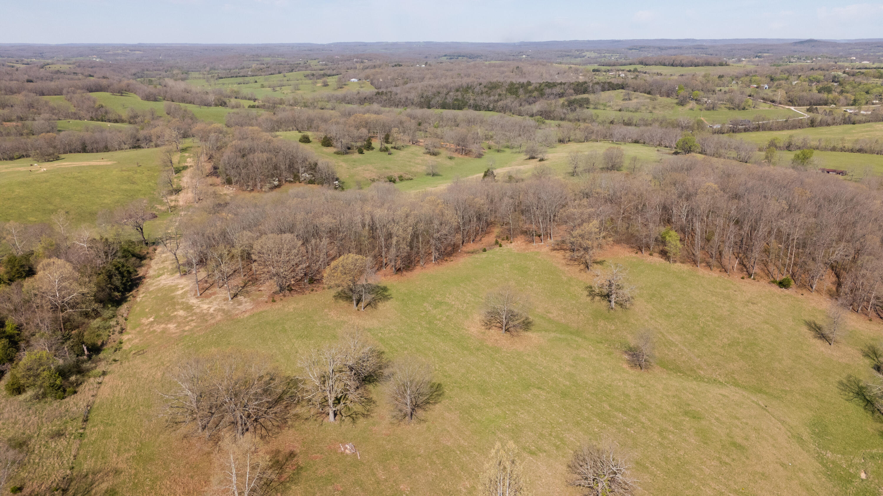 9795 Co Road Ava, MO 65608 - Photo 82 of 93 Douglas198drone(MLSRES)-26