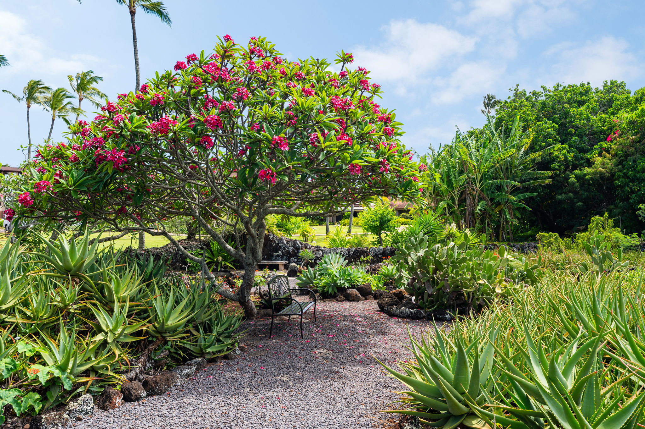 2253 Poipu Road, Unit 305 Koloa, HI 96756 - Photo 21 of 30