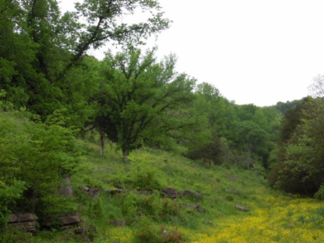 85 Ac Shaw Branch Road Baxter, TN 38544 - Photo 4 of 18