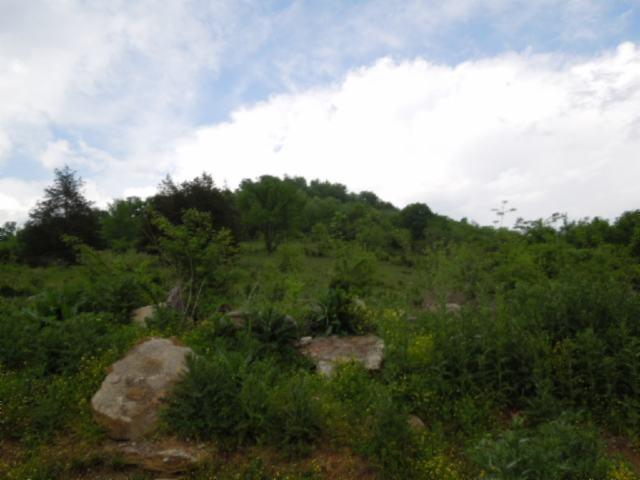 85 Ac Shaw Branch Road Baxter, TN 38544 - Photo 8 of 18