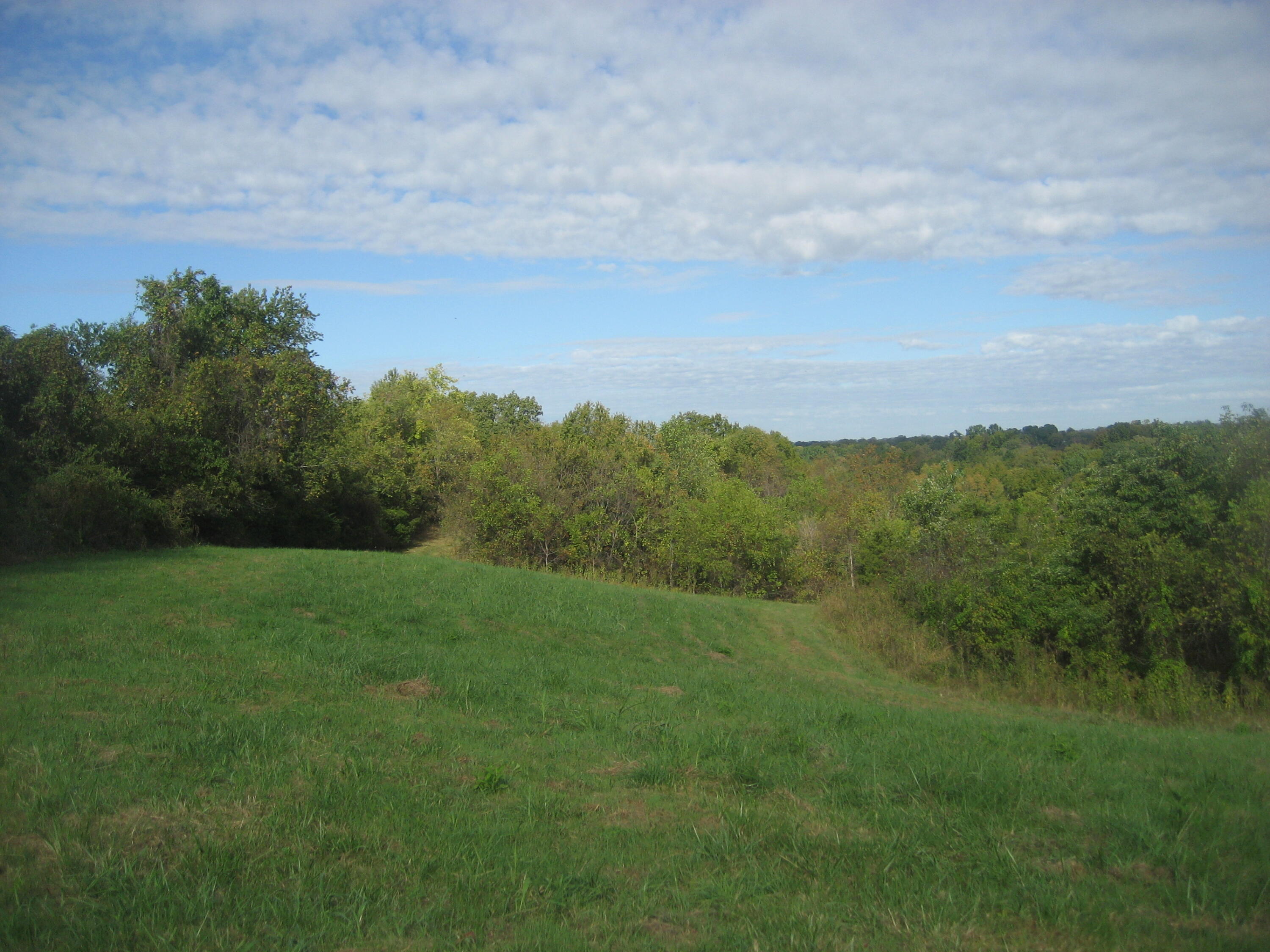 901 Kelly Brothers Lane Springfield, KY 40069 - Photo 1 of 44 IMG_1257
