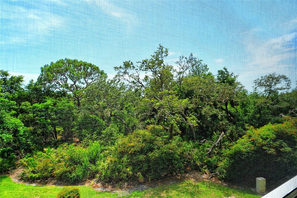 401 North Point Road, Unit 304 Osprey, FL 34229 - Photo 18 of 95