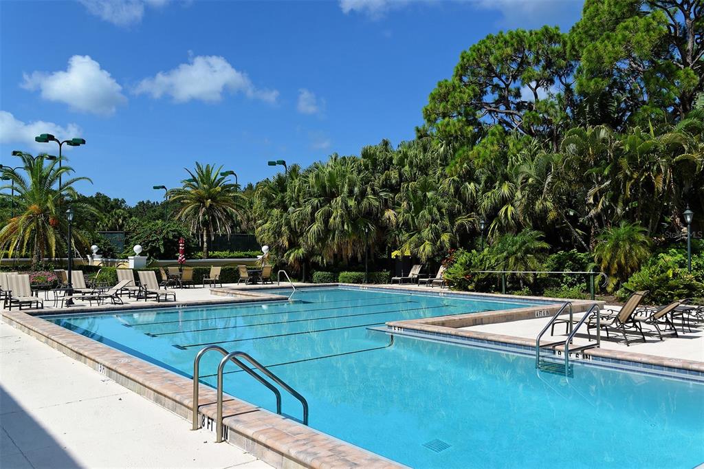 401 North Point Road, Unit 304 Osprey, FL 34229 - Photo 88 of 95 a view of a swimming pool with lounge chair