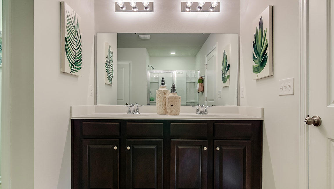 213 Goshen Road Moncks Corner, SC 29461 - Photo 26 of 38 Double Vanity