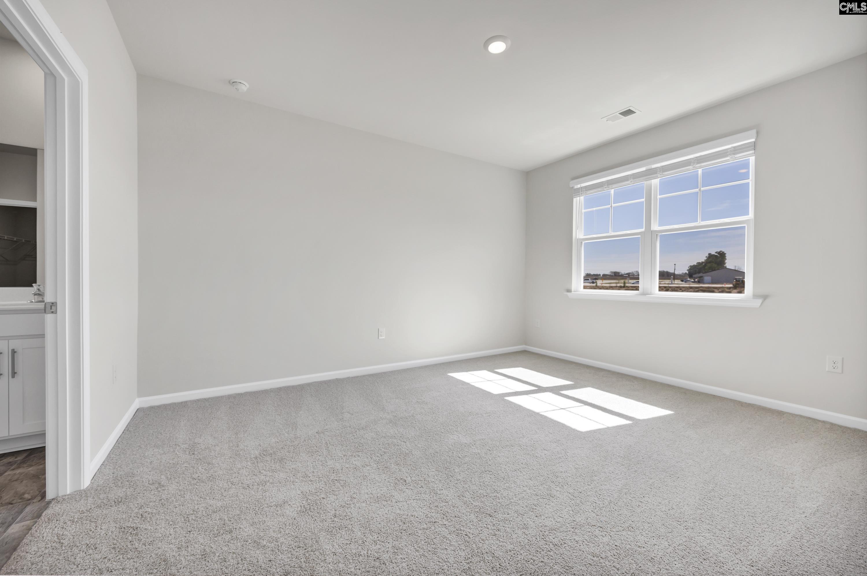 209 Ruby Prince Road Gilbert, SC 29054 - Photo 17 of 38