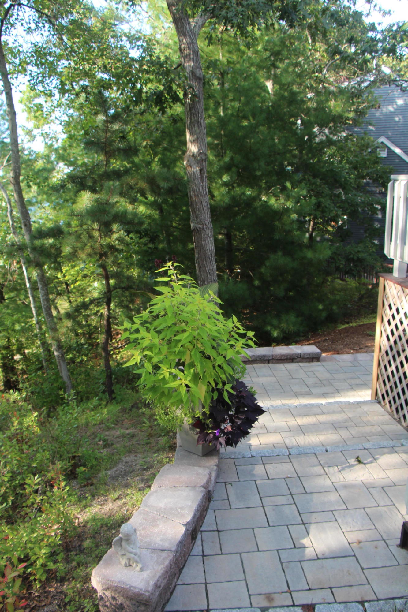 33 Studio Drive Buzzards Bay, MA 02532 - Photo 34 of 35 IMG_4619