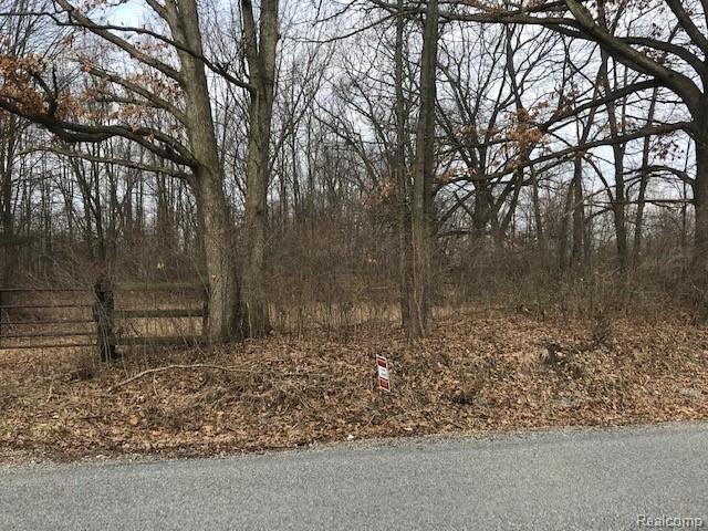 Parcel A Chapman Road Stockbridge, MI 49285 - Photo 4 of 7