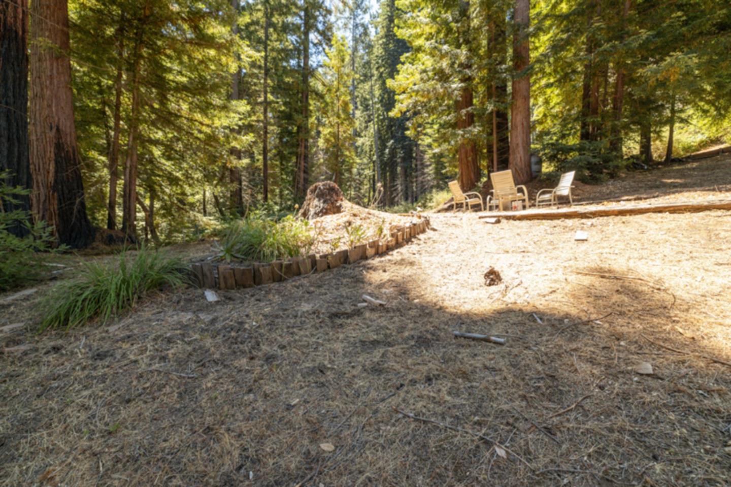2472 Fanning Grde Ben Lomond, CA 95005 - Photo 3 of 13