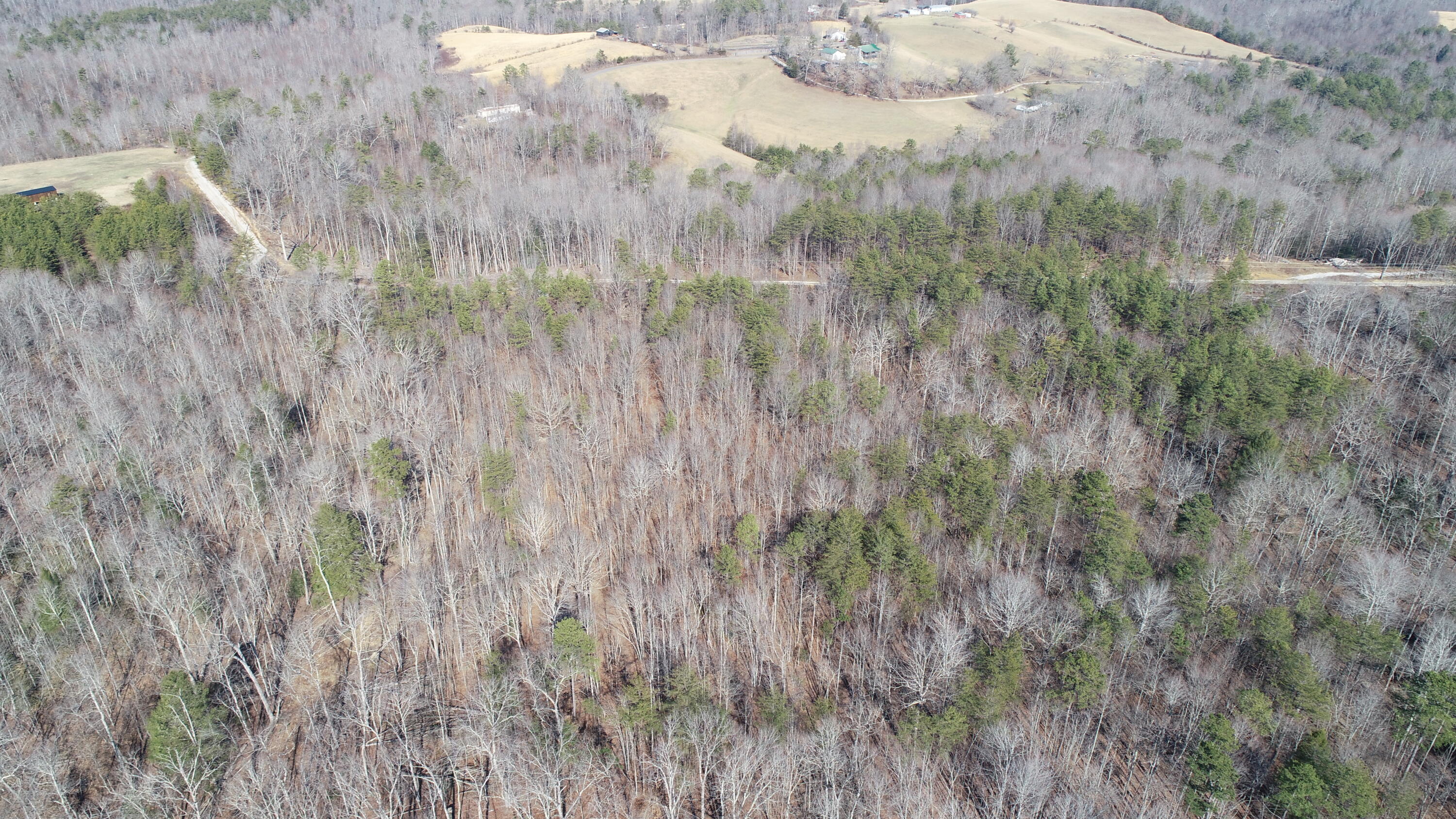 777 Rocky Point School Road Williamsburg, KY 40769 - Photo 26 of 31 DJI_0257