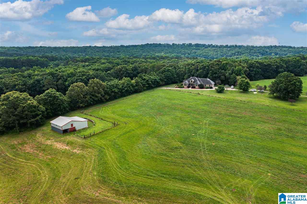 1484 Bullard Road Blountsville, AL 35031 - Photo 4 of 39
