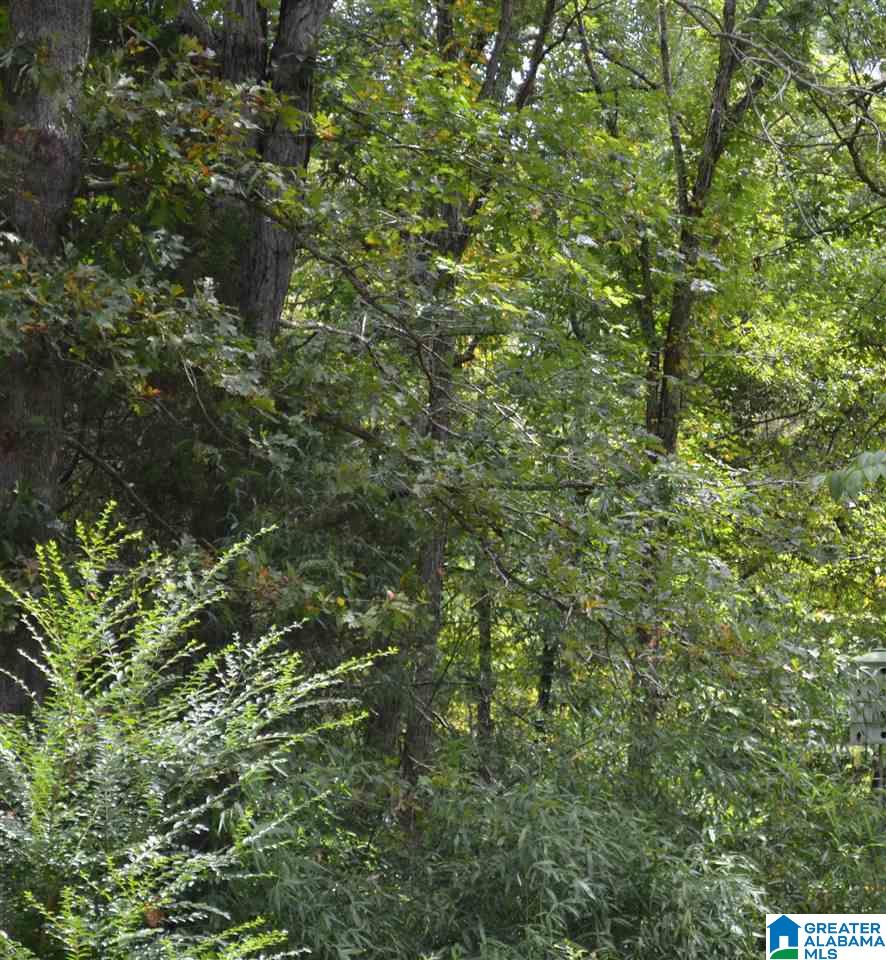 0 Valley Road Ragland, AL 35131 - Photo 3 of 5