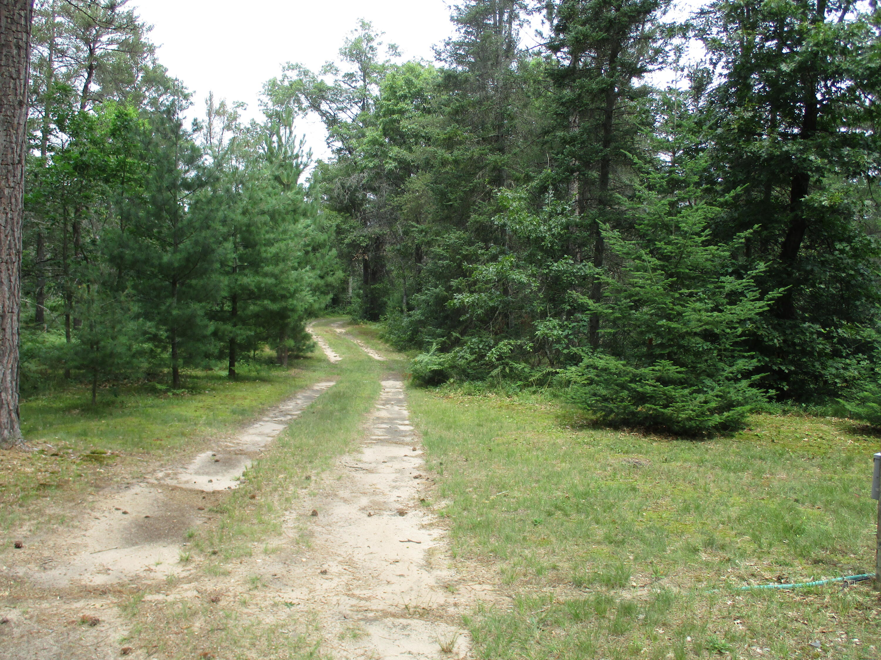 3705 Williams Road Lewiston, MI 49756 - Photo 11 of 25 Gallery Image 11