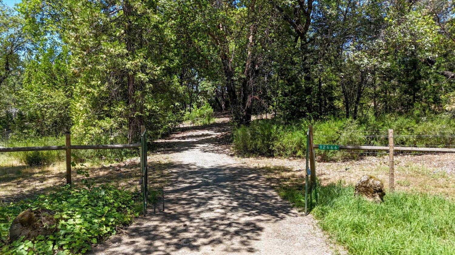 12666 Robinson Road Nevada City, CA 95959 - Photo 51 of 72