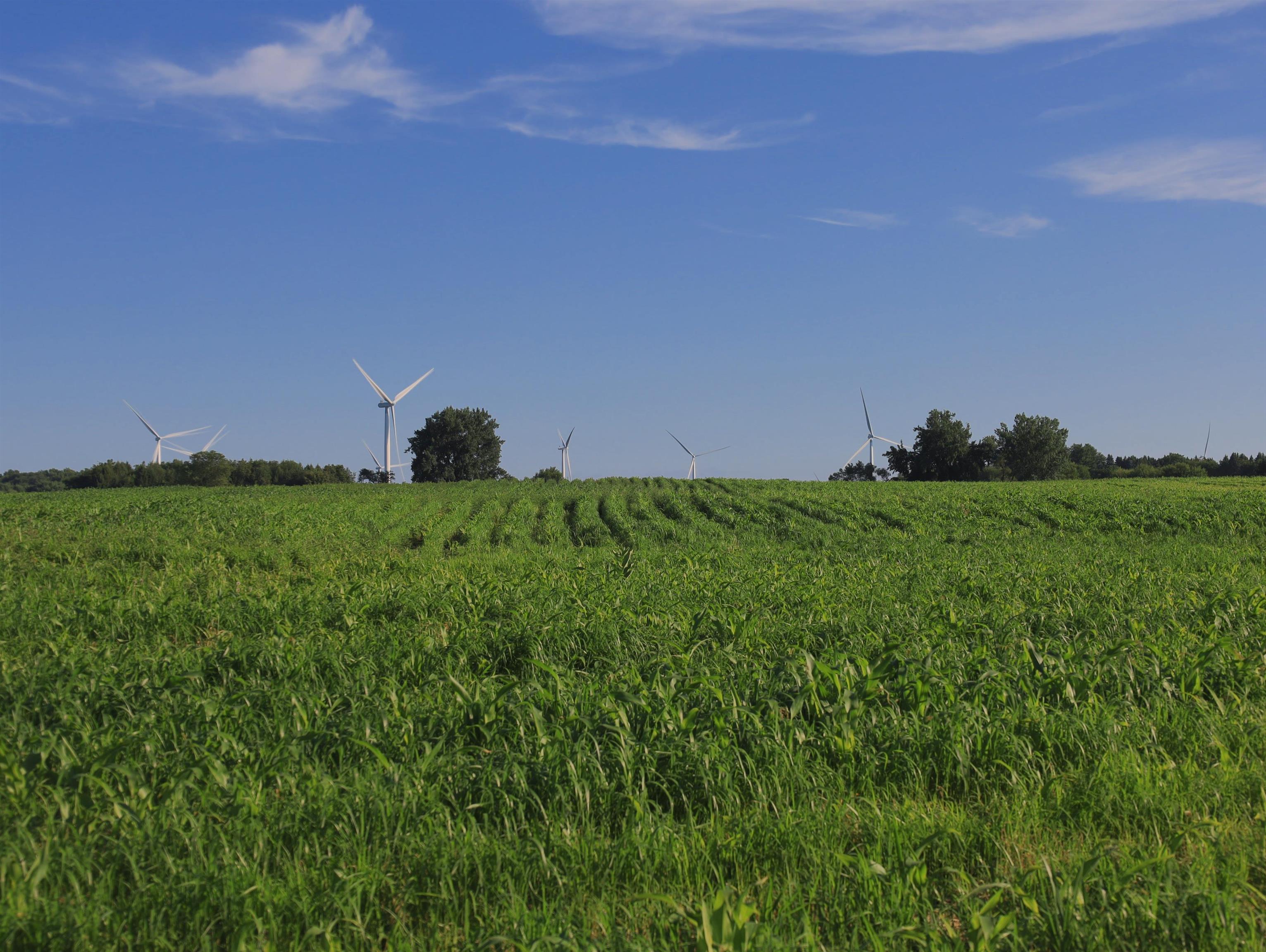 0 Todd Road Amboy, IL 61310 - Photo 35 of 58