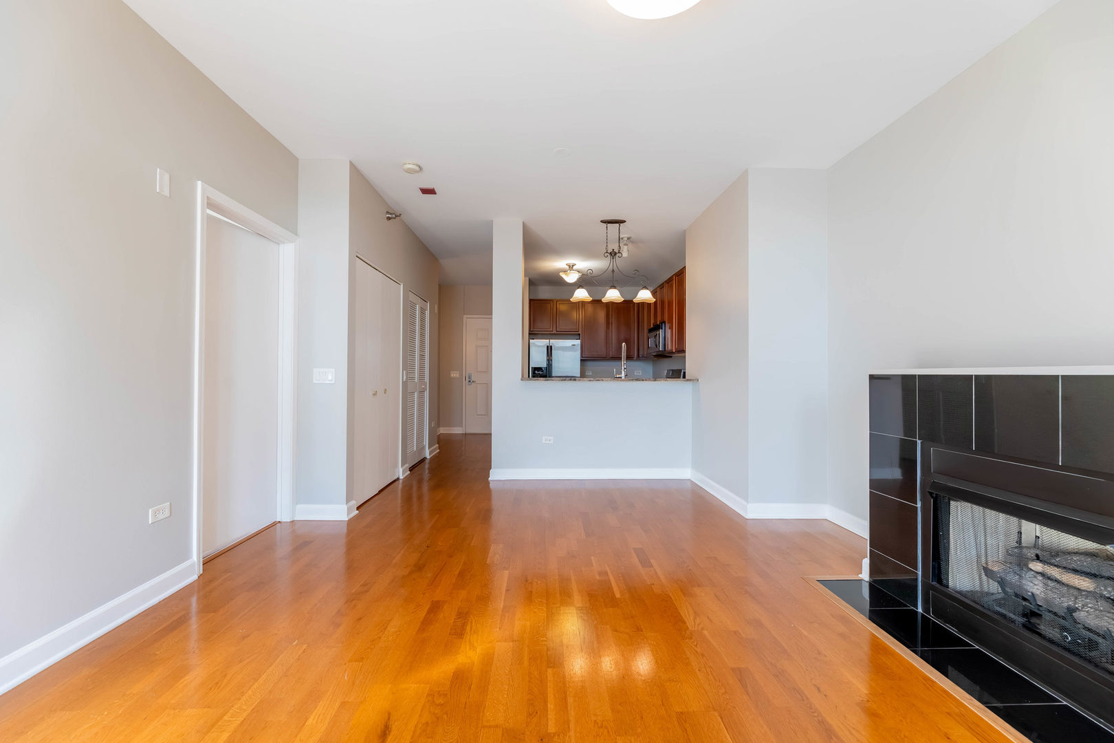 1600 South Prairie Avenue, Unit 1105 Chicago, IL 60616 - Photo 9 of 45