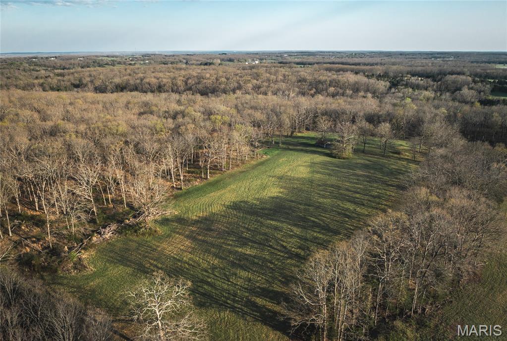 15098 State Rte O Rolla, MO 65401 - Photo 4 of 21